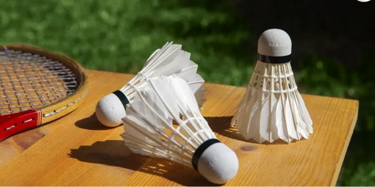 Hướng Dẫn Cách Chơi Cá Cược Cầu Lông Tại 789Bet Hiệu Quả